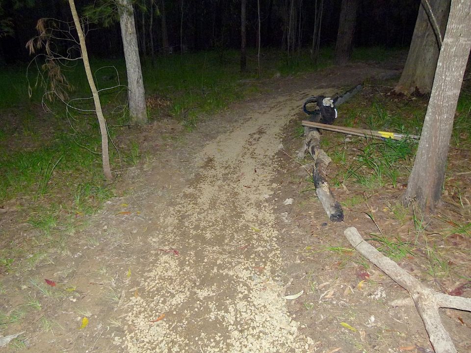 P1160377.jpg